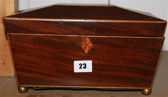 Victorian mahogany tea caddy